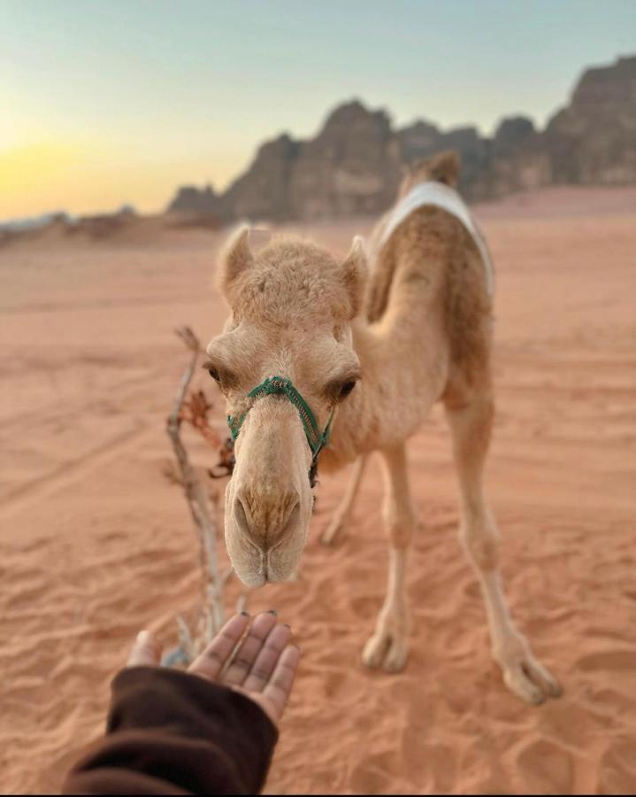 Wadi Rum Desert Camp Exterior photo